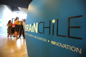 Brain Chile