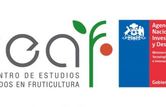 CONCURSO CARGO POSTDOCTORAL: Centro de Estudios Avanzados en Fruticultura (CEAF) Proyecto R23F0002