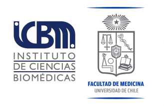 Se busca Asistente de Investigación para Instituto de Ciencias Biomédicas de la Facultad de Medicina Universidad de Chile